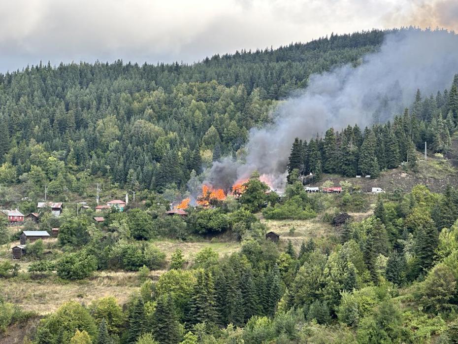Kastamonu'da köy yangını: 10 ev küle döndü