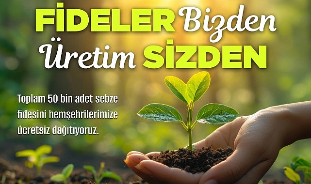 Nevşehir Belediyesi tarafından vatandaşlara çeşitli türlerde 50 bin sebze fidesi ücretsiz dağıtılacak – GÜNDEM