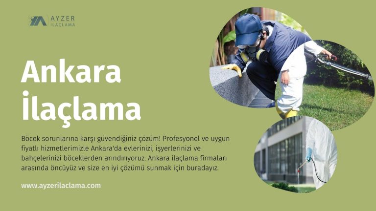 Ankara İlaçlama Firması: Evlerinizi ve İşyerlerinizi Böceklerden Koruyun