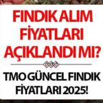 FINDIK FİYATLARI 2025 | Toprak Mahsulleri Ofisi (TMO) fındık fiyatları açıklandı mı, ne zaman açıklanacak? Fındık fiyatları ne kadar, kaç TL? İşte güncel fındık alım fiyatları!