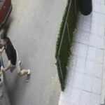 Rampadan kayan çöp konteynerini araçla çarpmadan son anda durdurdu