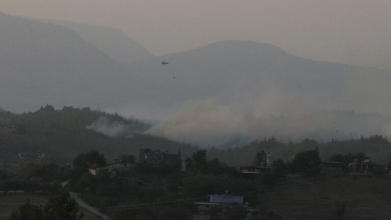 Adana’daki orman yangını kontrol altında