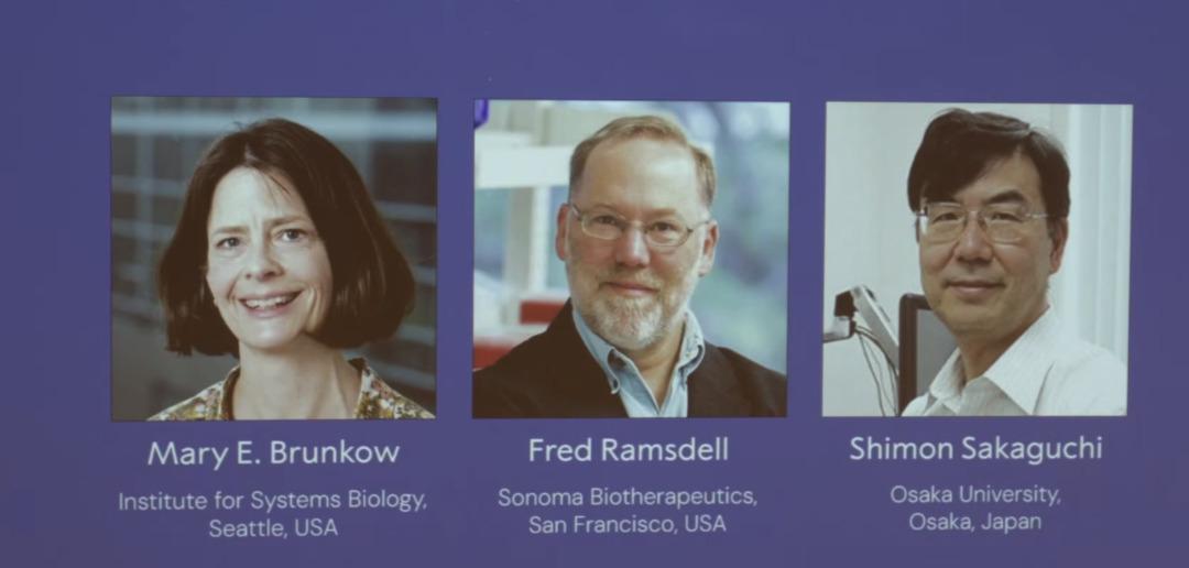 Nobel Tıp Ödülü 2025'in kazananları duyurdu! Nobel Tıp Ödülü 2025'i kim kazandı? 3