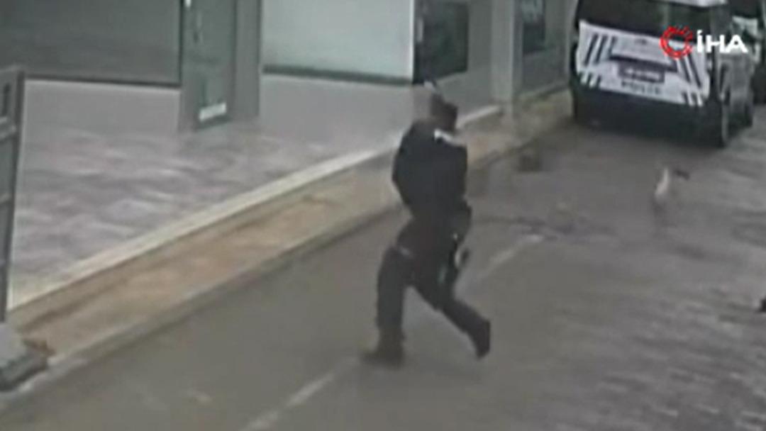 Manisa'da duygulandıran anlar: Polis yukarıdan düşen kediyi yakaladı 2