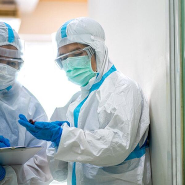 Kuş gribi alarmı: H5N5 virüsü dünyada ilk kez can aldı!