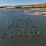 Endişelendiren görüntü… Van Gölü seviyesi düşüyor: Bu sefer de asırlık iskelenin ayakları çıktı! – Son Dakika Türkiye Haberleri