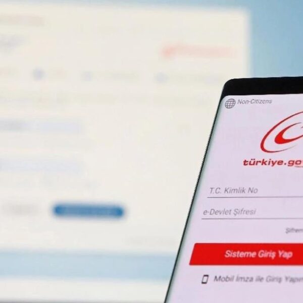 E Devlet sisteminde gizli kalan hizmetler ilgi topluyor