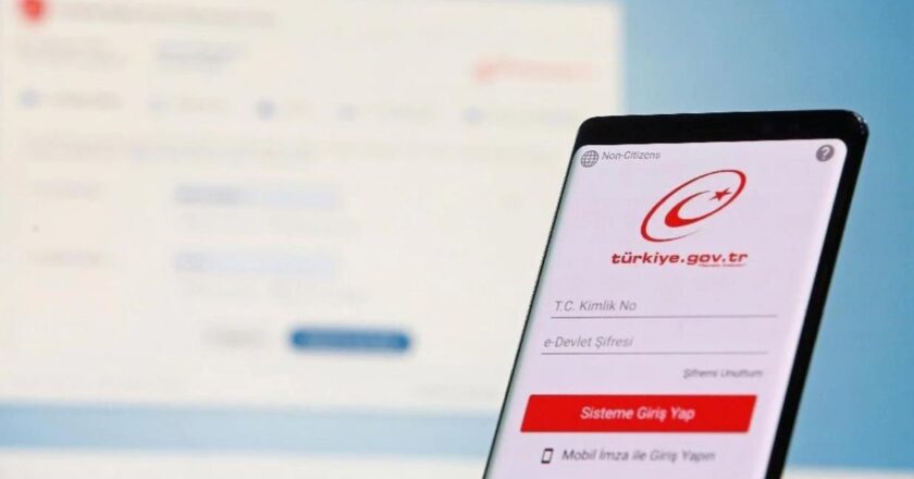 E Devlet sisteminde gizli kalan hizmetler ilgi topluyor