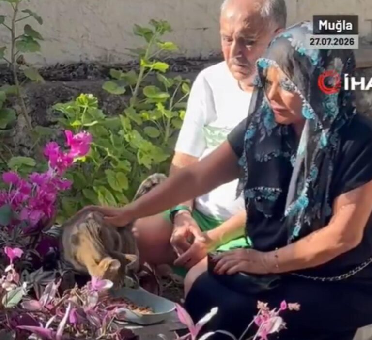 Safiye Soyman oğlunun mezarı başında gözyaşlarına boğuldu! ”Oğlumun ruhu bu kedide”